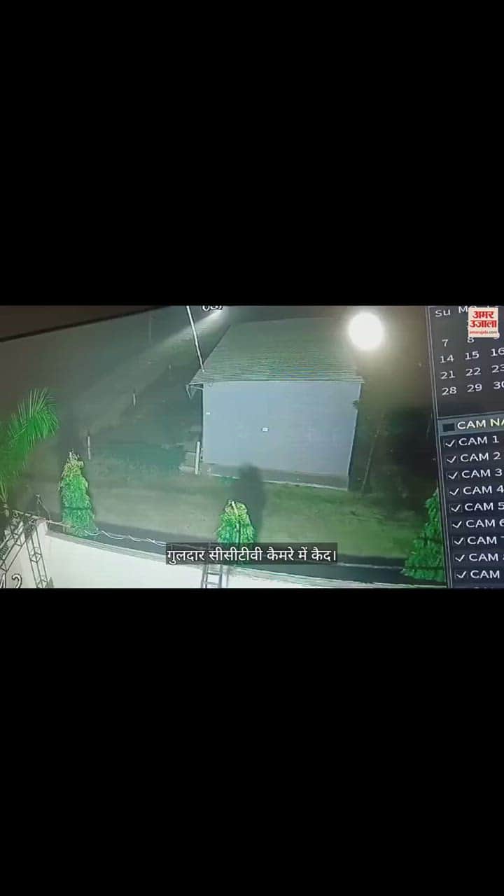 VIDEO : Guldar caught in CCTV camera in Bijnor
