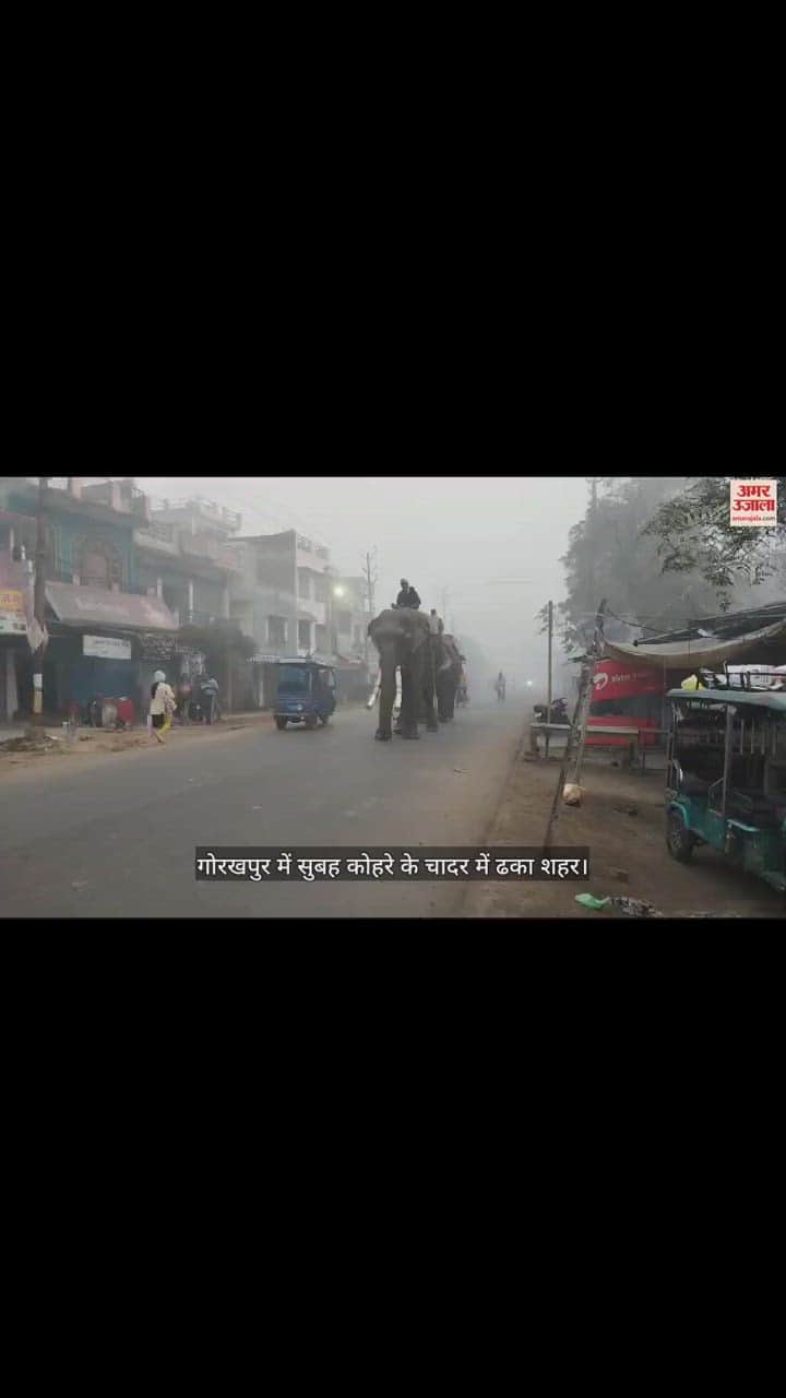 VIDEO : Icy wind increases chill in Gorakhpur