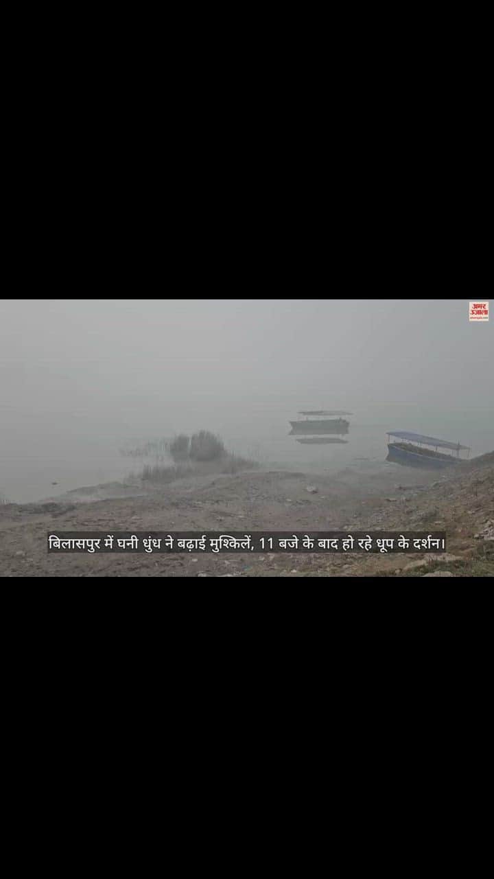 VIDEO : Dense fog increases problems in Bilaspur, sunshine seen after 11 o'clock