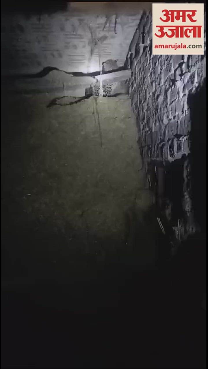 VIDEO : Villagers showed courage in Moradabad, locked the leopard in the house, forest department did the rescue