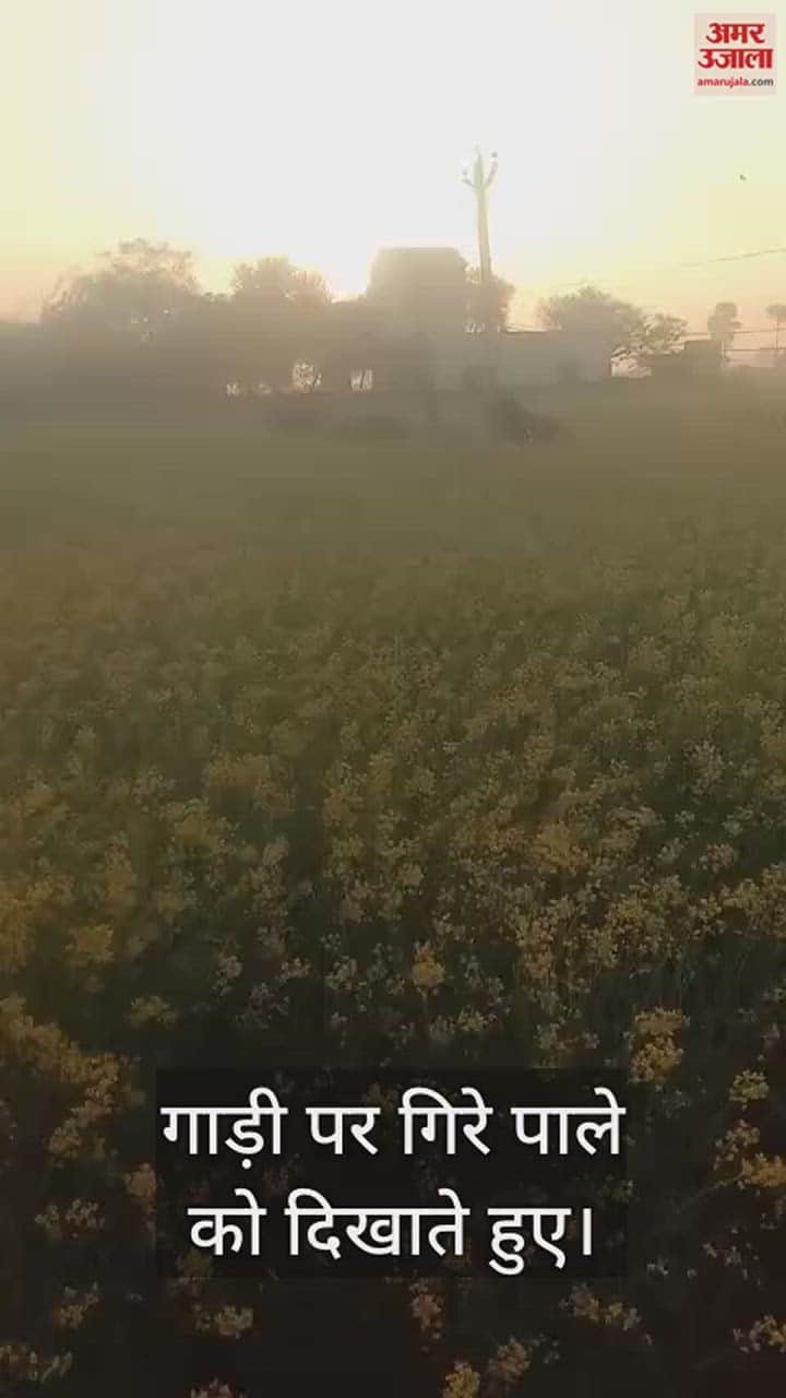 VIDEO : नारनौल क्षेत्र में सीजन का गिरा पहला पाला, एक दिन में 4 डिग्री सेल्सियस गिरा न्यूनतम तापमन