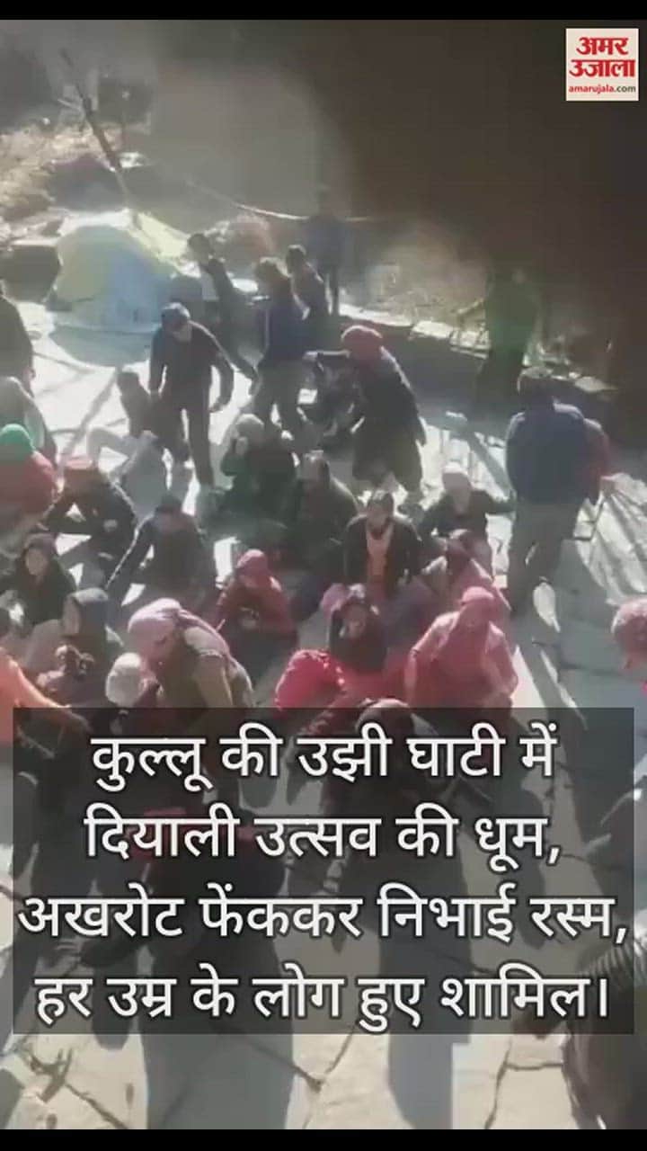 VIDEO : Diwali festival celebrated in Ujhi Valley, it rained walnuts