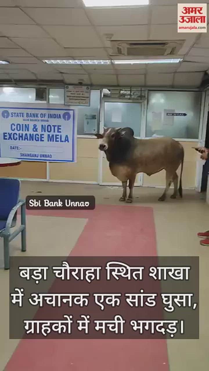 VIDEO : उन्नाव में SBI की शाखा में घुसा सांड, बैंक में मची भगदड़...सिक्योरिटी गार्ड ने भगाया, नहीं हुआ है कोई नुकसान