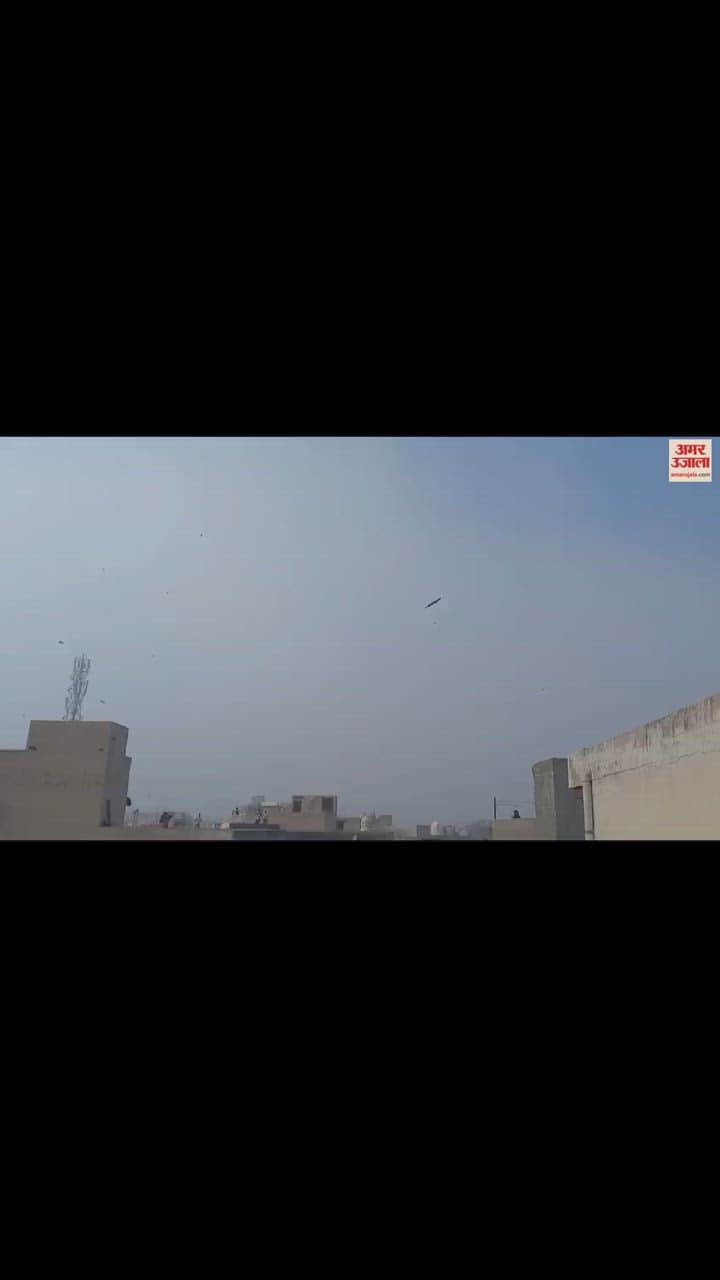 VIDEO : झज्जर में मकर सक्रांति पर खूब हुई पतंगबाजी