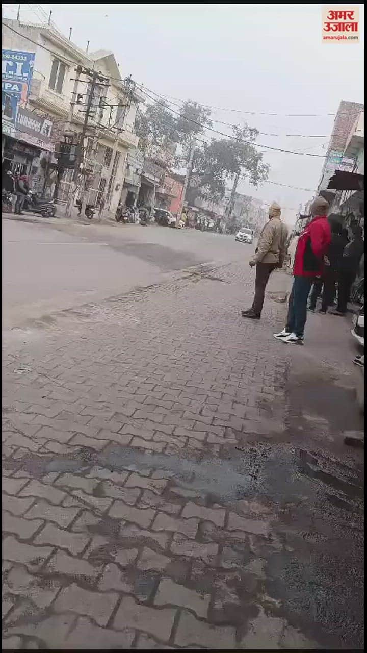 VIDEO : जींद पहुंचे सर संघ चालक मोहन भागवत, सड़क मार्ग से किया गोपाल स्कूल में प्रवेश