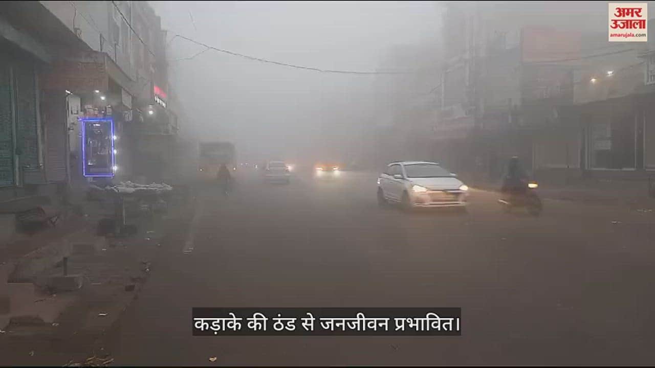 VIDEO : सोनीपत में कड़ाके की ठंड से जनजीवन हो रहा प्रभावित, अलाव बन रहा सहारा