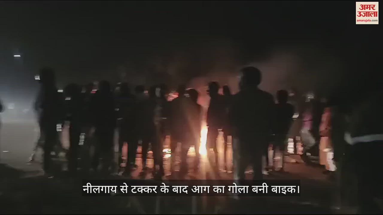 VIDEO : Bike Caught Fire After Colliding With Nilgai And Overturning In Azamgarh