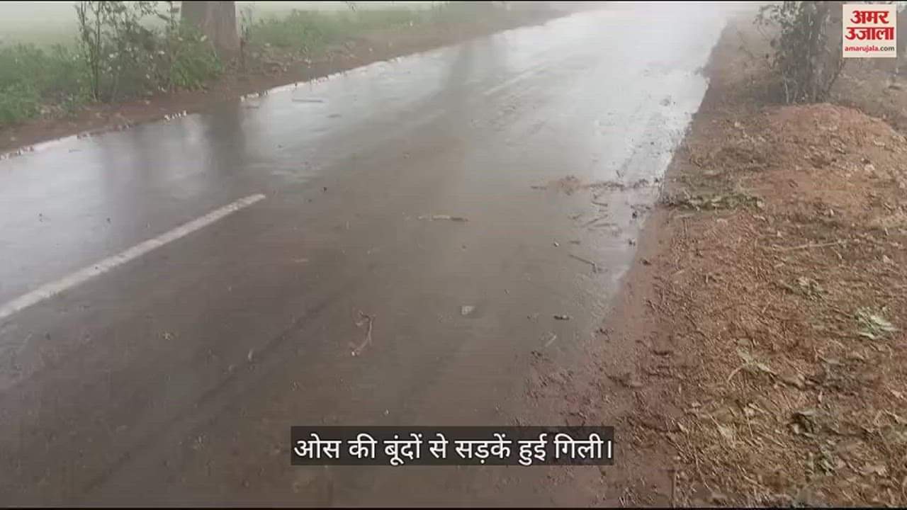 VIDEO : नारनौल में हल्की ओस की बूंदों ने शिमला जैसा बनाया मौसम, सड़क भी हुई गिली