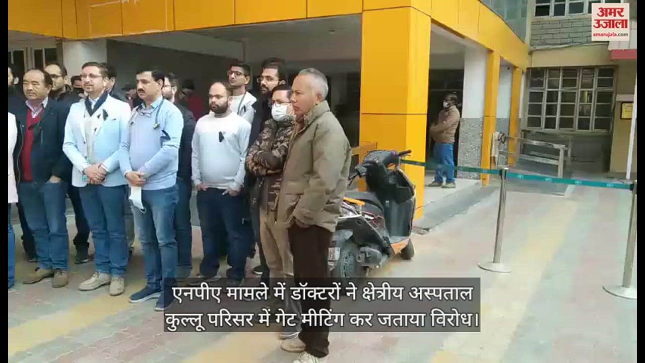 VIDEO : In the NPA case, doctors protested by holding a gate meeting in the regional hospital Kullu campus.