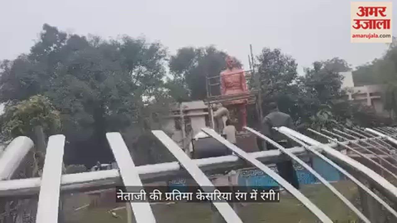 VIDEO : रोहतक में नेताजी की प्रतिमा भी रंगी केसरिया रंग में, एक दिन पहले था सुनहरा रंग