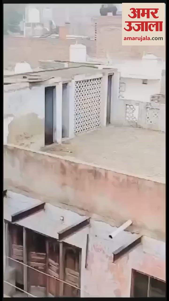 VIDEO : हिसार में तेंदुए ने मचाया जमकर आतंक, गली में दौड़ते हुए महिला पर भी झपटा