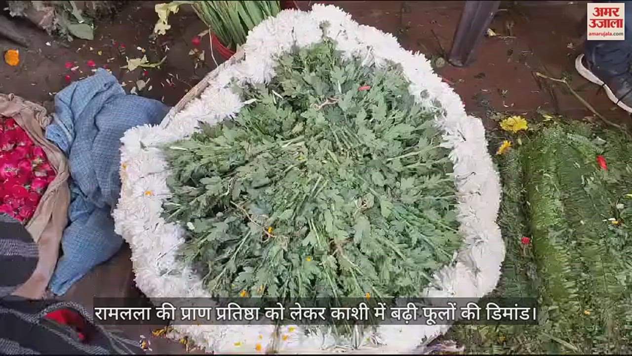 VIDEO : Flowers Demanded Due To Ram Mandir Pran Pratishtha Flowers Sent From Varanasi To Ayodhya