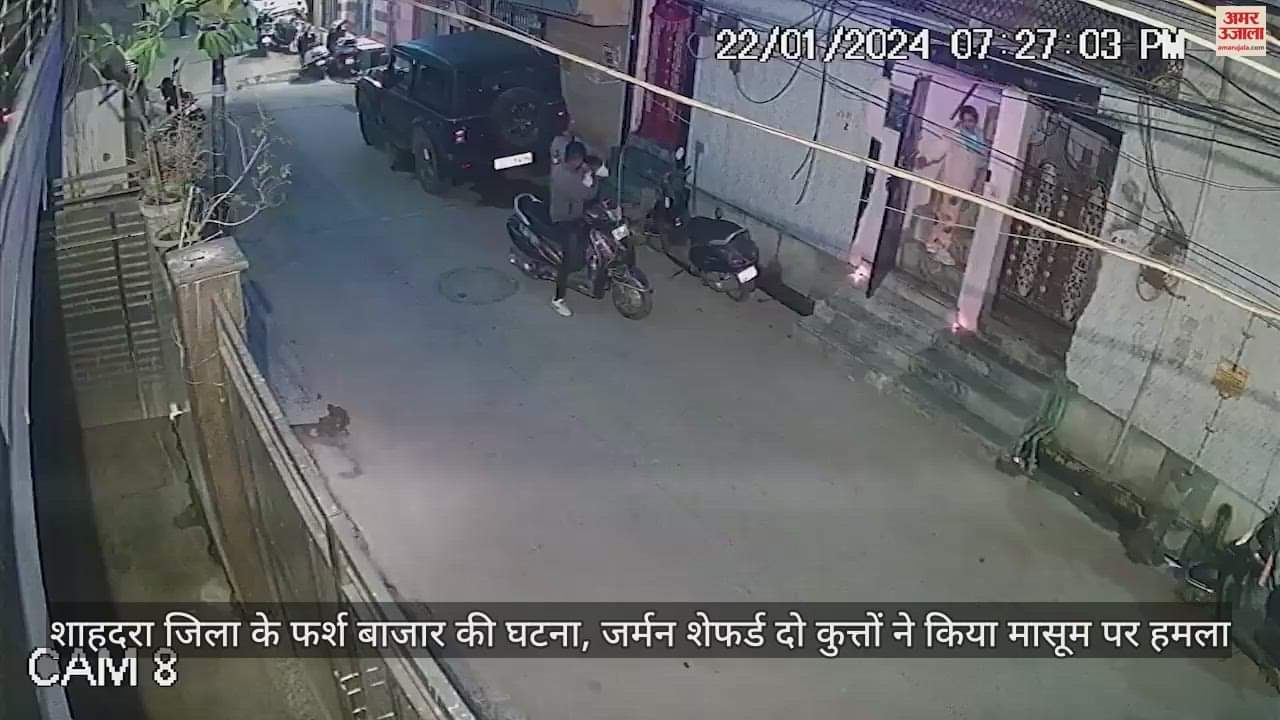 VIDEO : दिल्ली में दो साल के मासूम को कुत्तों ने नोंच डाला