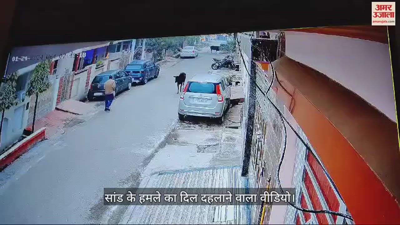 VIDEO : सांड के हमले का दिल दहलाने वाला वीडियो, बुजुर्ग को पटककर मार डाला, मौत के बाद भी करता रहा हमला