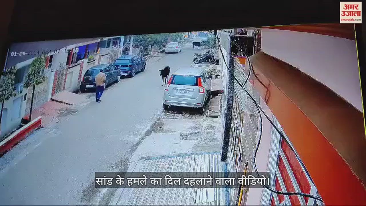 VIDEO : सांड के हमले का दिल दहलाने वाला वीडियो, बुजुर्ग को पटककर मार डाला, मौत के बाद भी करता रहा हमला