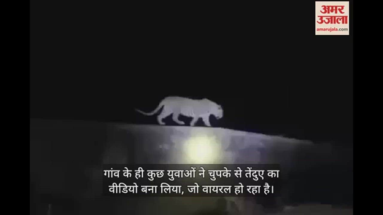 VIDEO : एटा जिले तेंदुए की दहशत, आधी रात को खूंखार की दहाड़ सुन डर से सहम गए ग्रामीण