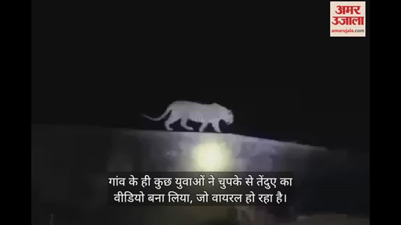 VIDEO : एटा जिले तेंदुए की दहशत, आधी रात को खूंखार की दहाड़ सुन डर से सहम गए ग्रामीण