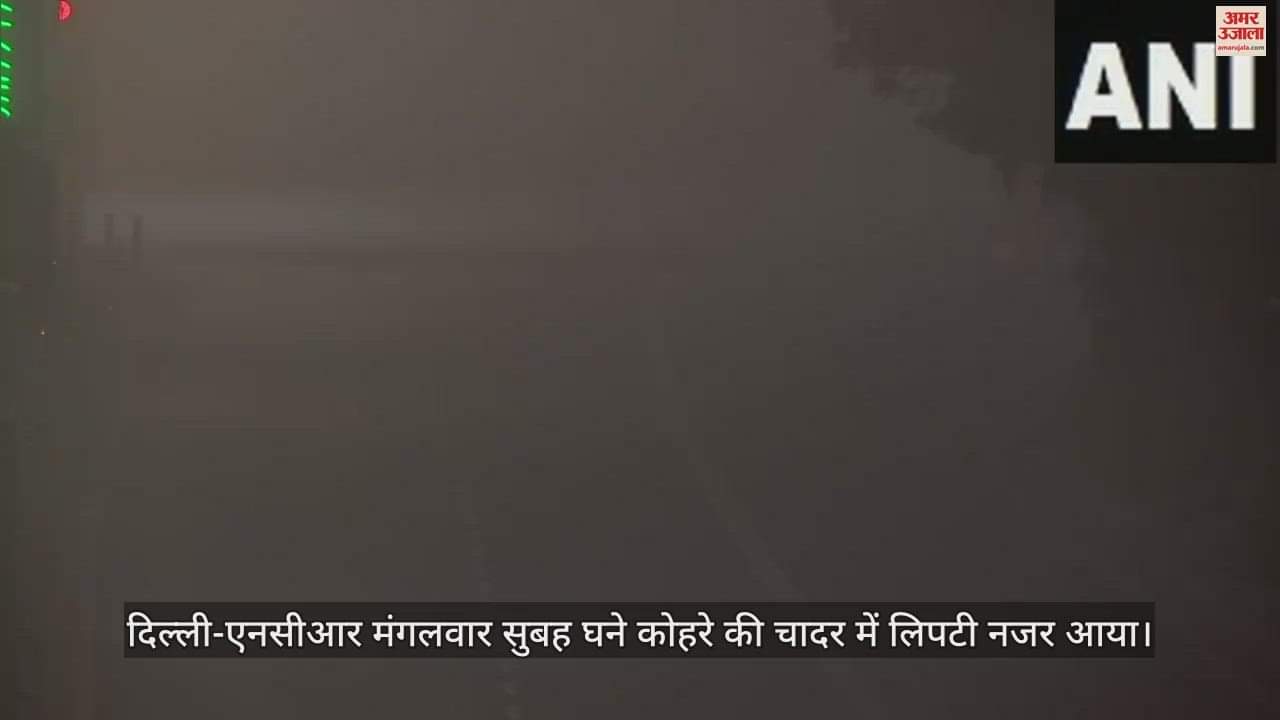 VIDEO : दिल्ली में छाई कोहरे की मोटी परत से विजिबिलिटी हुई कम, गाड़ियों की रफ्तार लगा ब्रेक