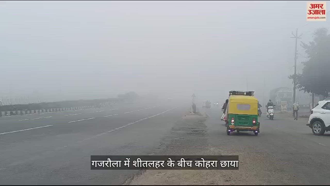 VIDEO : Severe cold continues in Gajraula, vehicles passed with lights on amid fog, speed of vehicles stopped on the highway