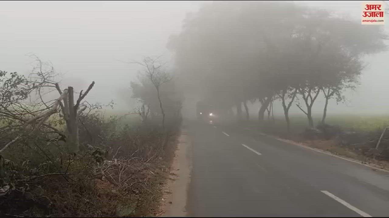 VIDEO : नारनौल में जनवरी में बारिश की जगह बरस रही ओस की बूंदें