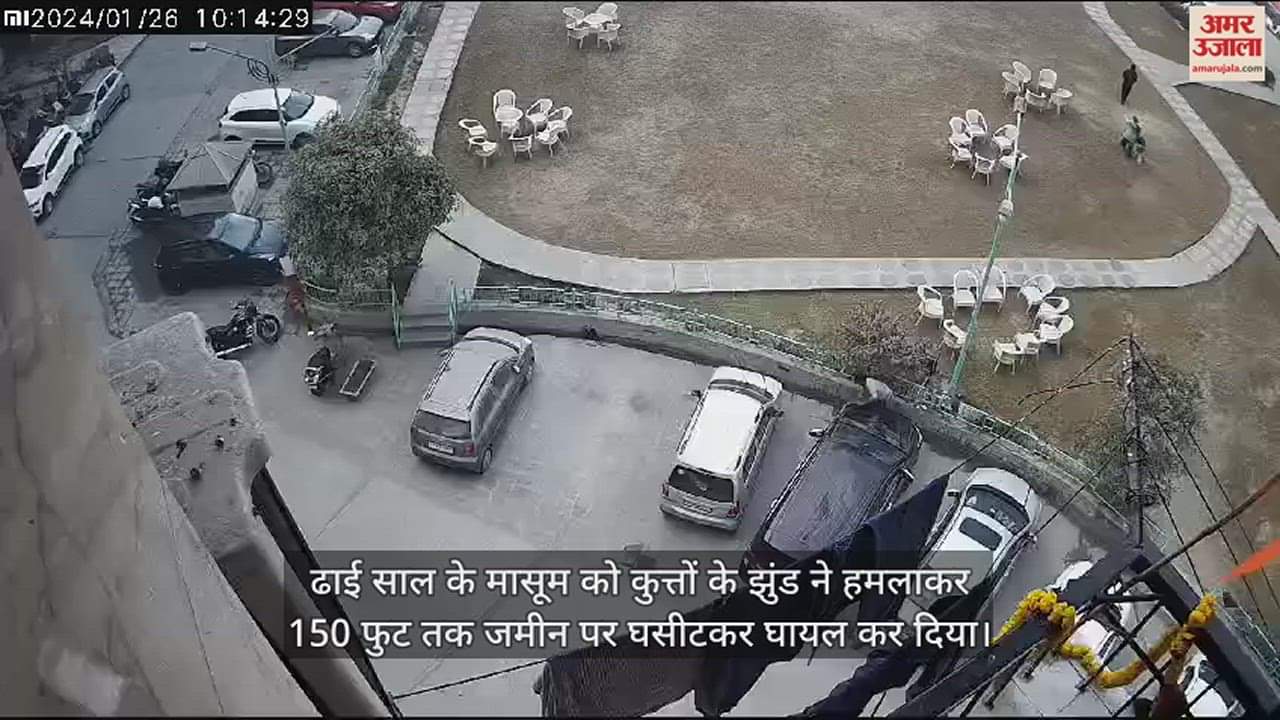 VIDEO : गाजियाबाद में बच्चे पर कुत्तों के झुंड ने किया हमला, कुत्तों के भौंकने की आवाज सुनकर चौंक जा रहा है मासूम