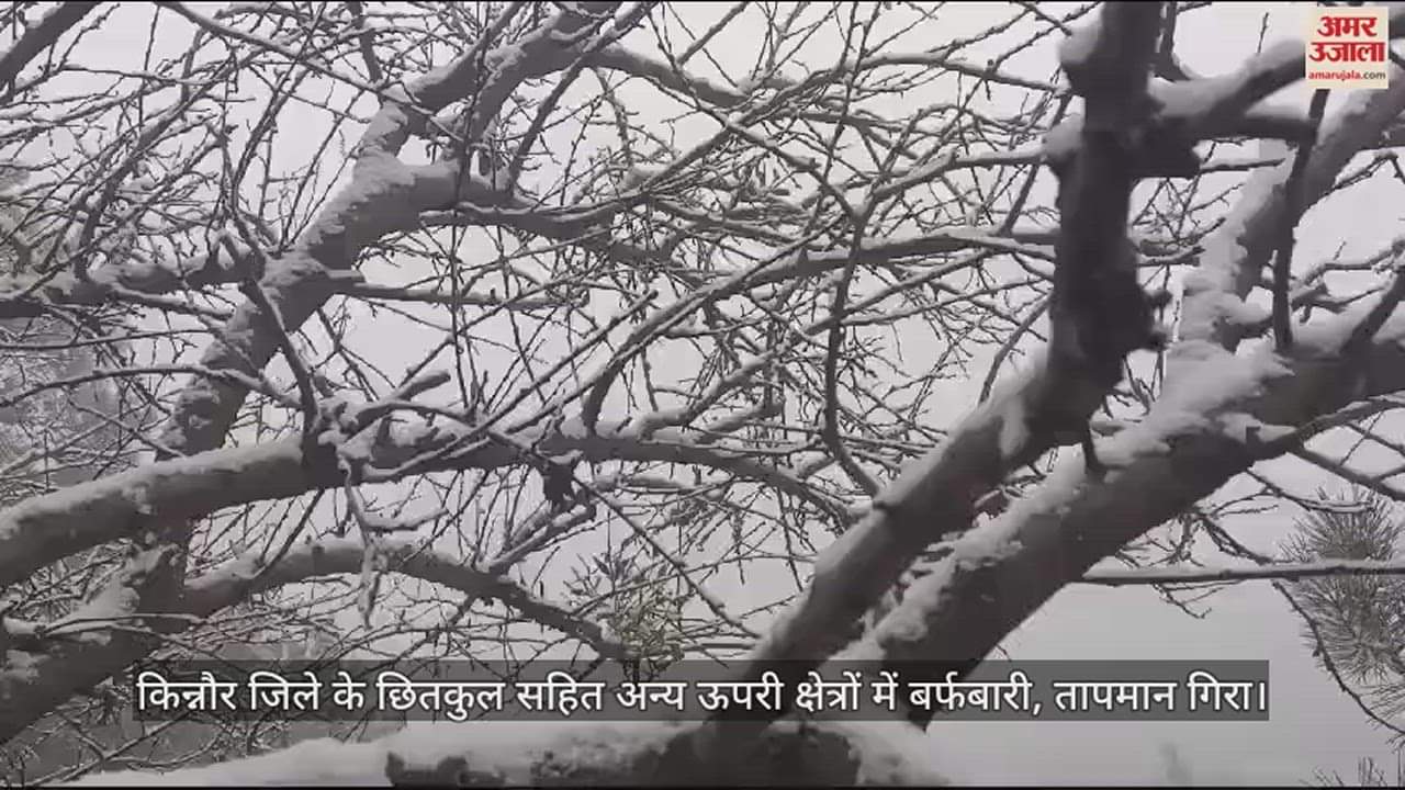 VIDEO : Snowfall in Chitkul and other upper areas of Kinnaur district, temperature dropped