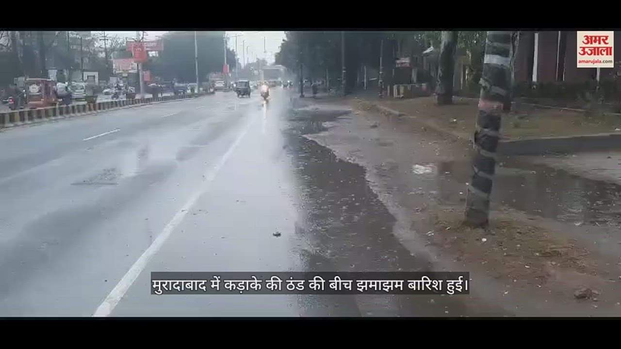VIDEO : Heavy rain in Moradabad division amid severe cold, Meteorological Department issued alert