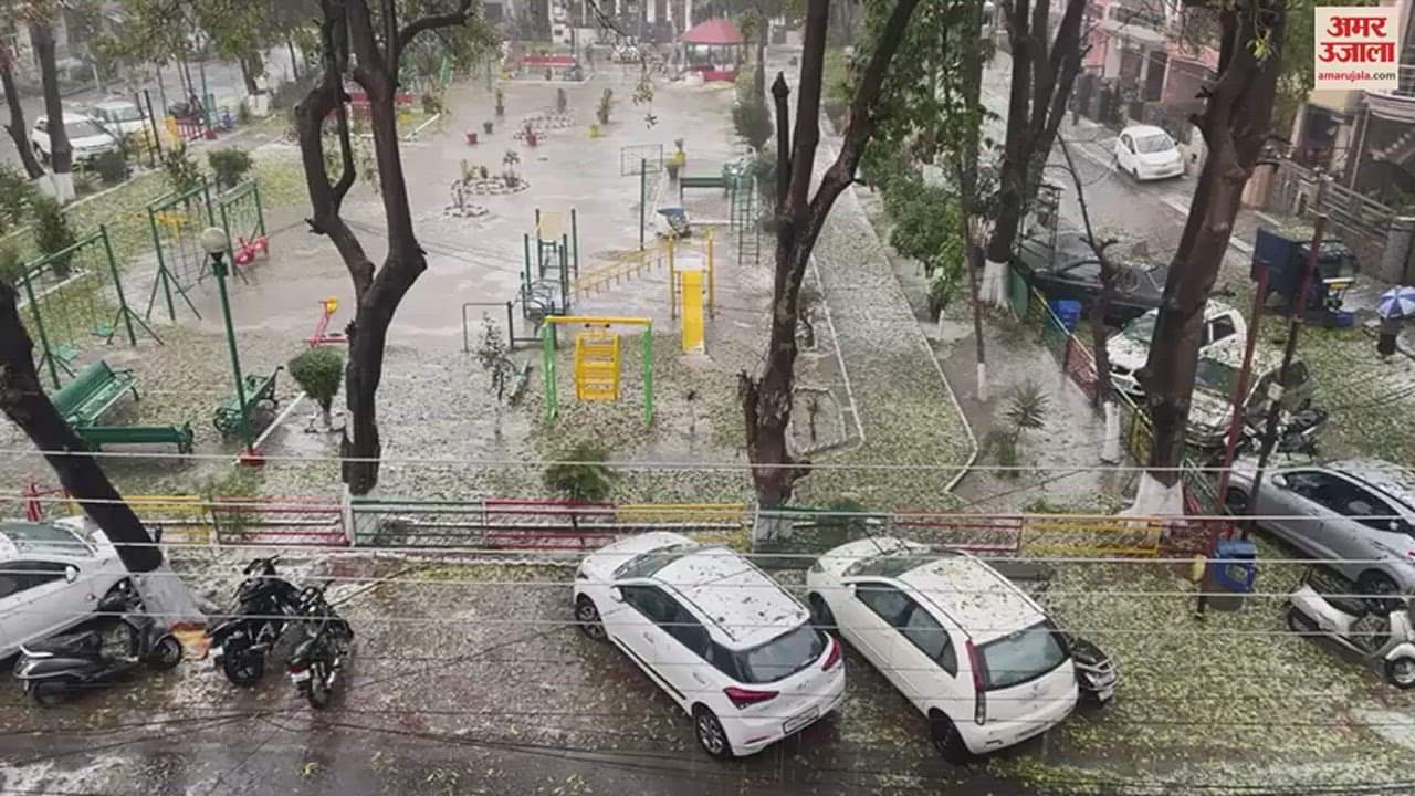 VIDEO : Rain and Hailstorm in Punjab