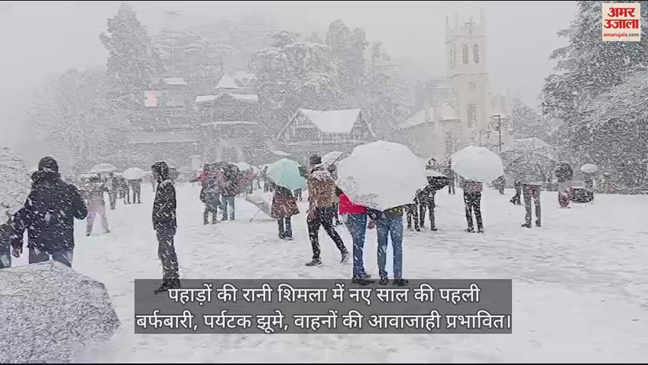 VIDEO : First snowfall of the new year in Queen of Hills Shimla, tourists flock