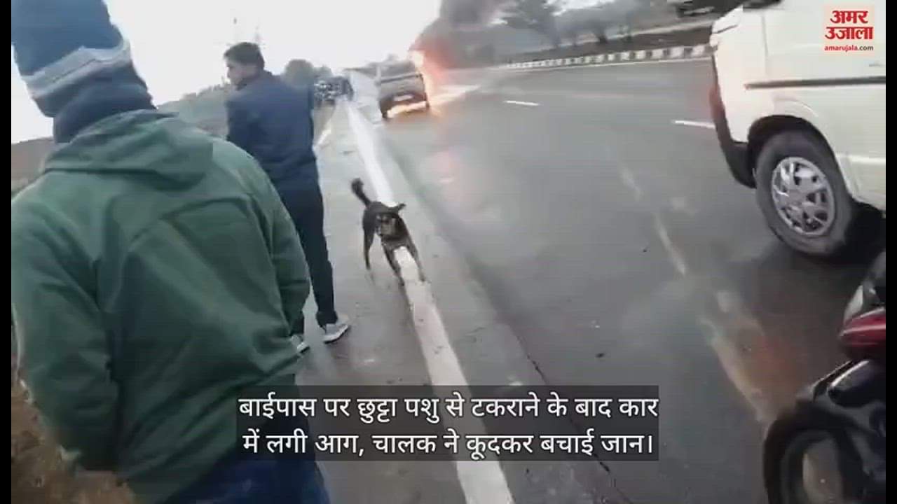 VIDEO : बाईपास पर छुट्टा पशु से टकराने के बाद कार में लगी आग, चालक ने कूदकर बचाई जान