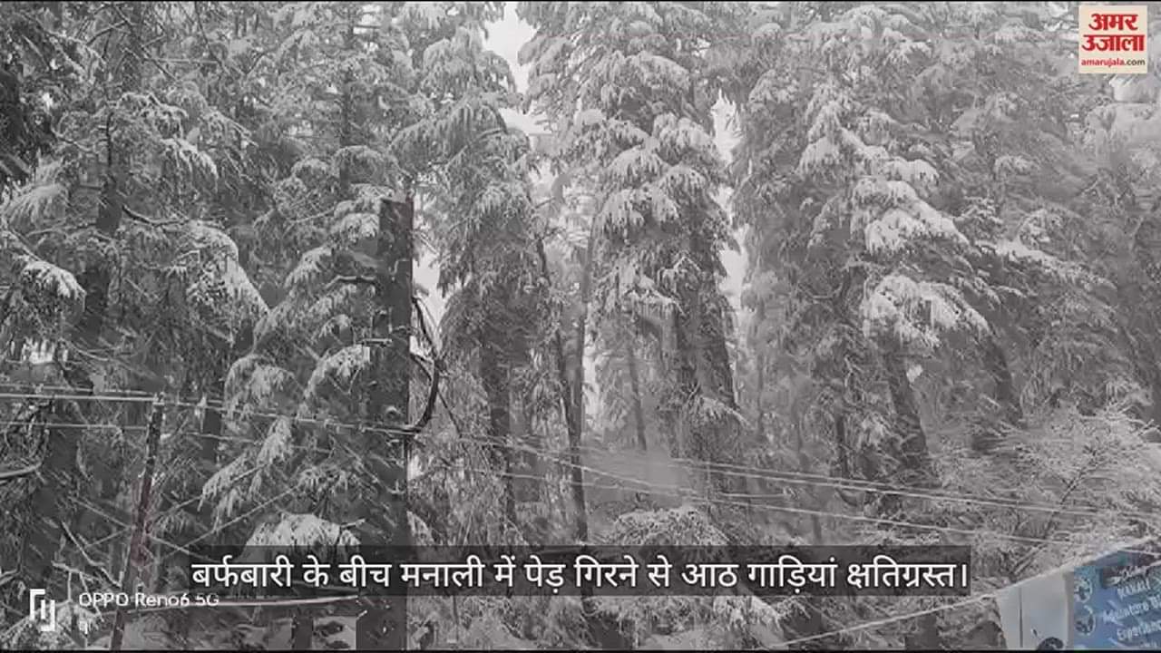 VIDEO : बर्फबारी के बीच मनाली में पेड़ गिरने से आठ गाड़ियां क्षतिग्रस्त