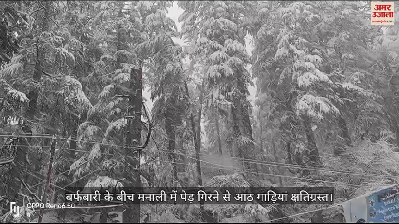 VIDEO : बर्फबारी के बीच मनाली में पेड़ गिरने से आठ गाड़ियां क्षतिग्रस्त