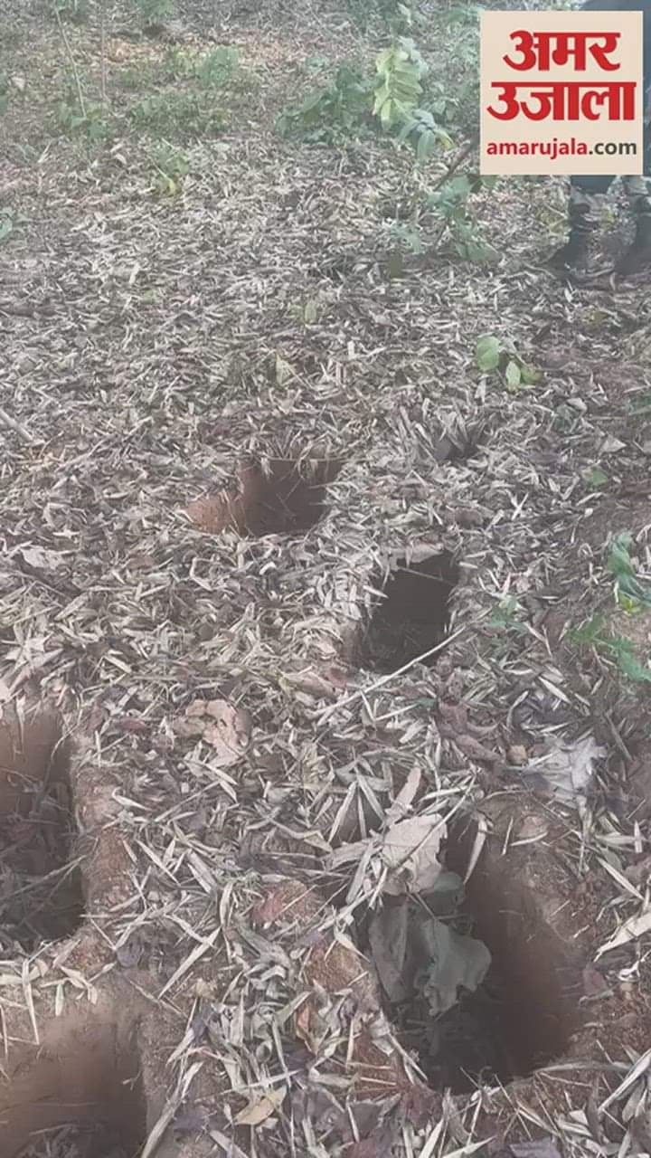 VIDEO : नक्सलियों की साजिश नाकाम, इन स्पाइक होल में जवानों का चाहते थे फंसाना