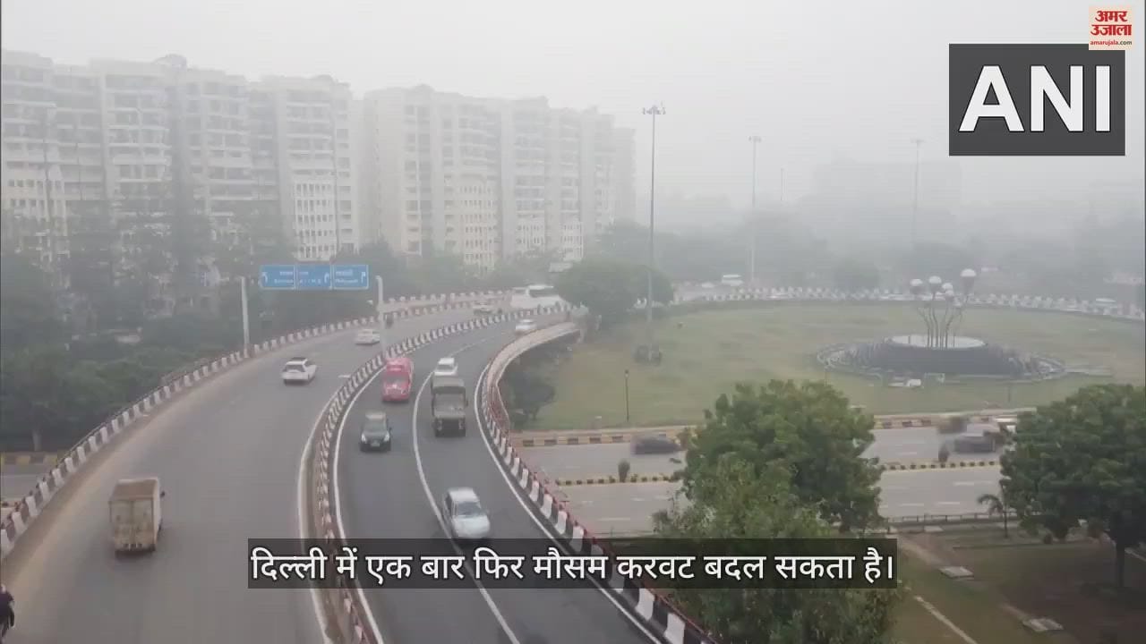VIDEO : दिल्ली के आसमान में दिखी कोहरे की हल्की परत, मौसम विभाग का यलो अलर्ट जारी