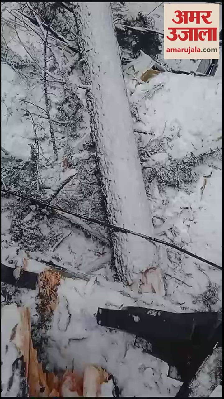 VIDEO : Tree broken due to snowfall in Manali, shop damaged