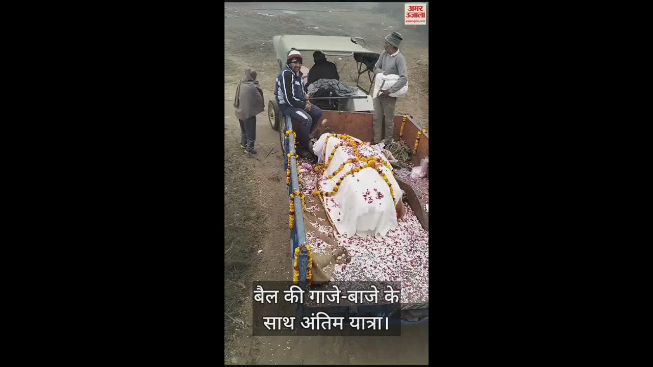 VIDEO : भिवानी में किसान ने गाजे-बाजे के साथ निकाली बैल की अंतिम यात्रा