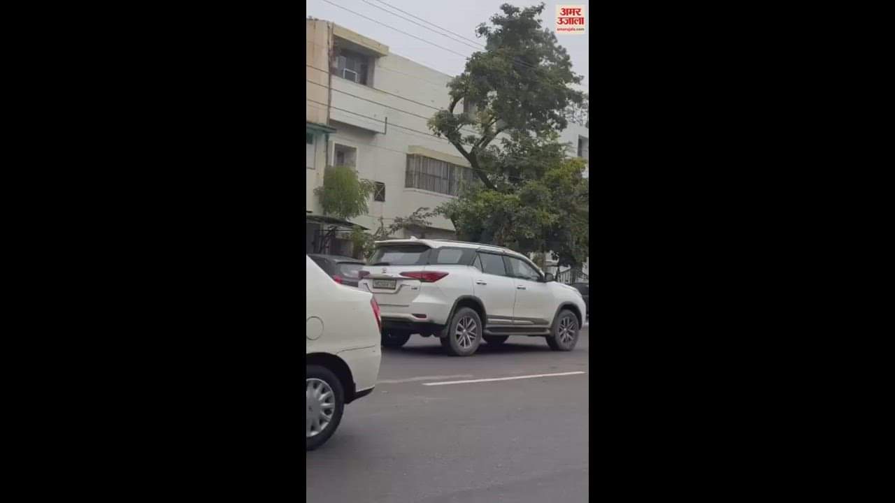 VIDEO : Reindeer Entered Residential Area Of Chandigarh Wildlife Department Rescued