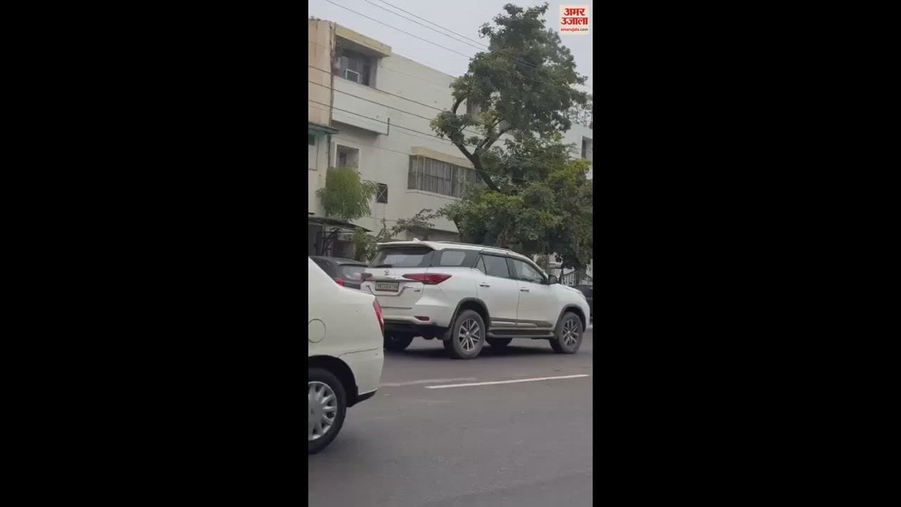 VIDEO : Reindeer Entered Residential Area Of Chandigarh Wildlife Department Rescued