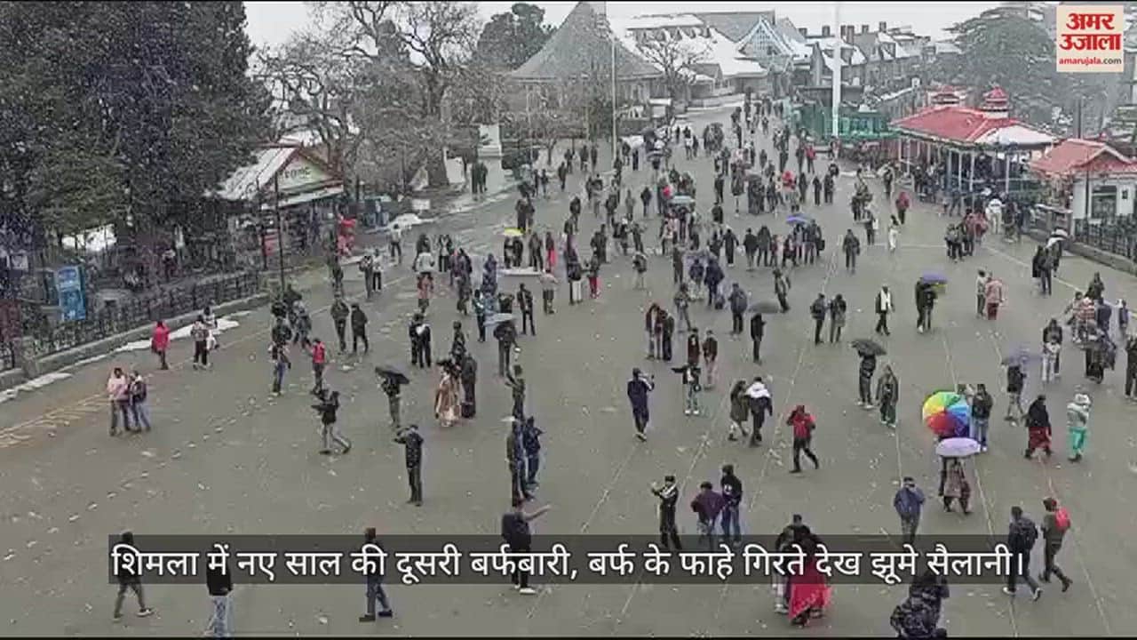 VIDEO : Second snowfall of New Year in Shimla, tourists danced to see snowflakes falling