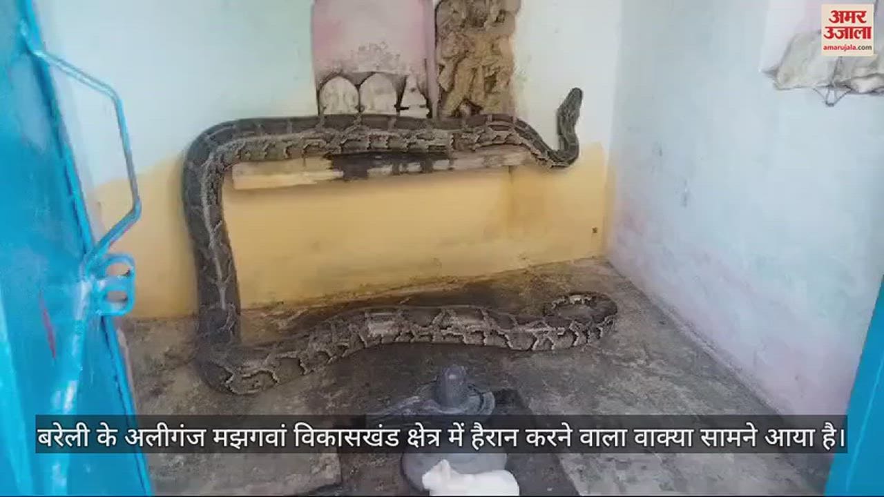 VIDEO : बरेली के अलीगंज के मंदिर में विशालकाय अजगर