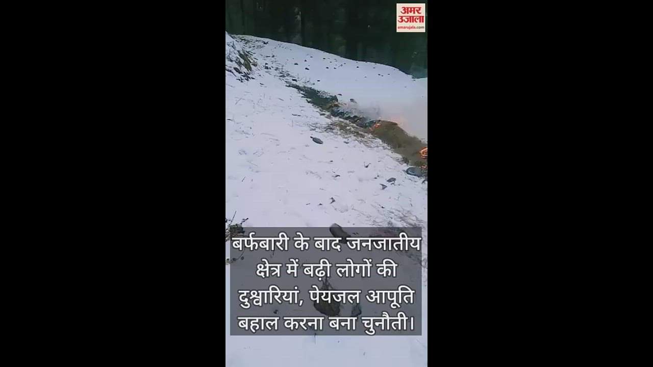 VIDEO : After snowfall, hardships of people increased in tribal area, restoration of drinking water supply became a challenge.