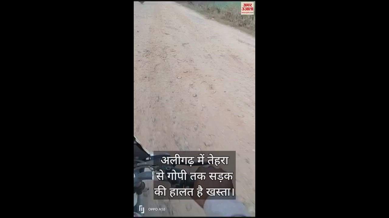 VIDEO : अलीगढ़ में तेहरा से गोपी तक सड़क की हालत है खस्ता