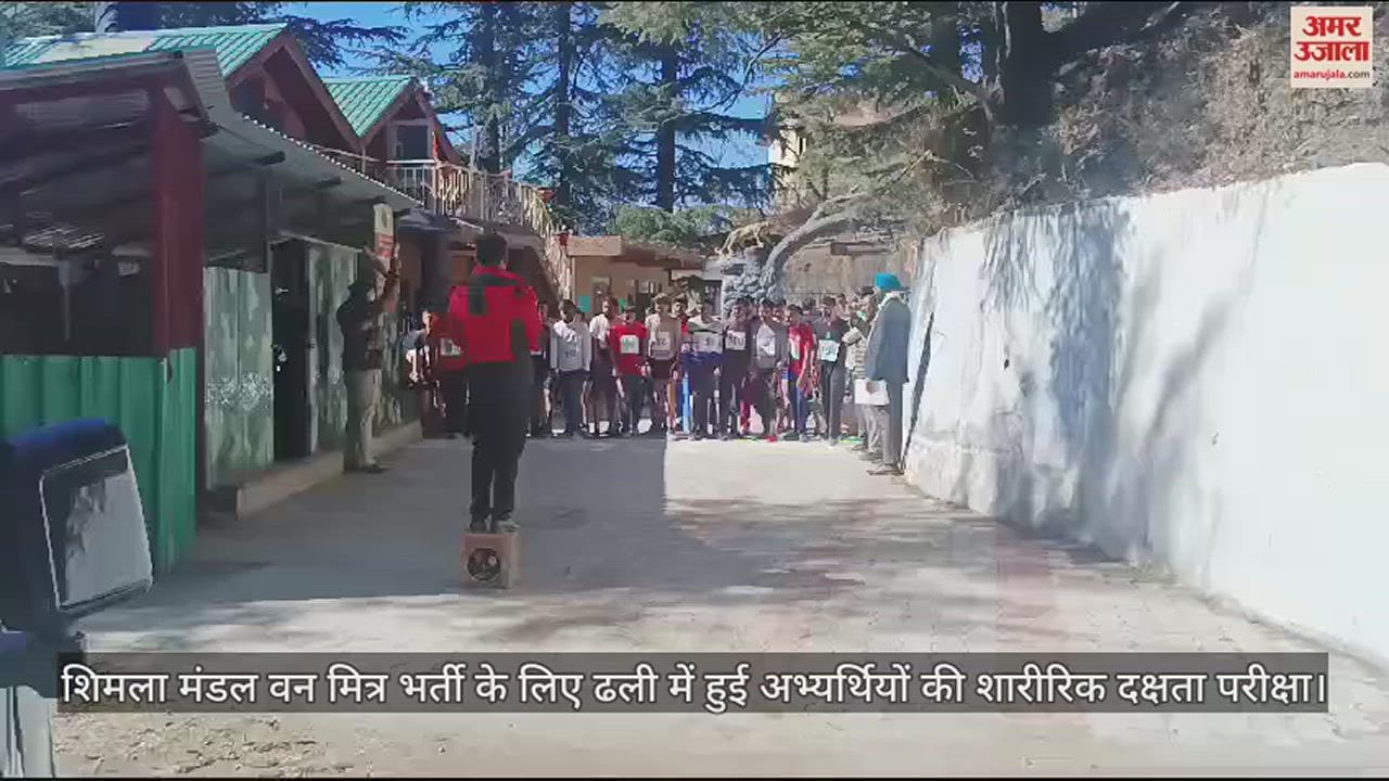 VIDEO : Physical efficiency test of candidates held in Dhalli for Shimla Division Van Mitra recruitment