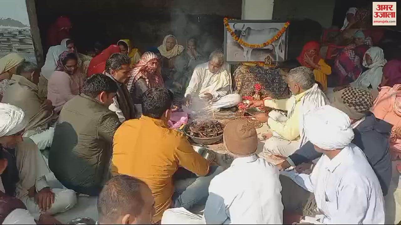 VIDEO : गाय से किसान का लगाव; गौमाता के स्वर्गवास के बाद मनाई सत्रहवीं, हवन कर किया गांव में भंडारा