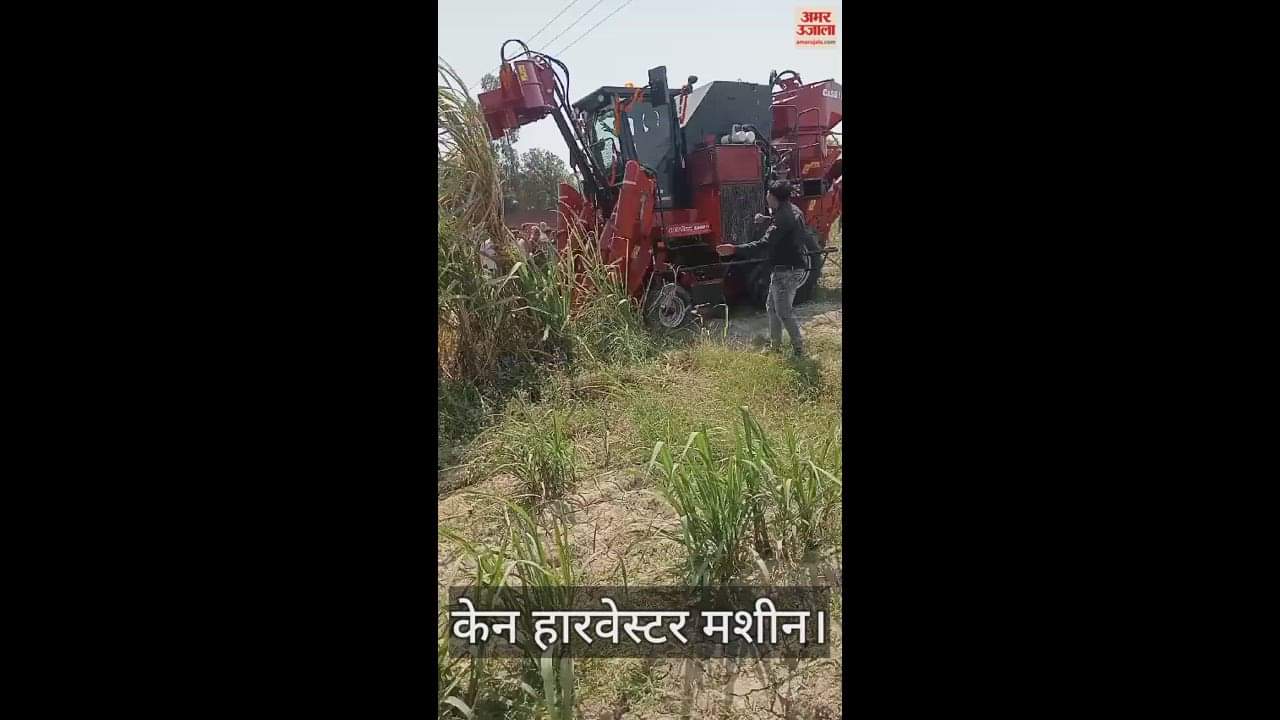 VIDEO : Training was given on harvesting and peeling of sugarcane using cane harvester machine