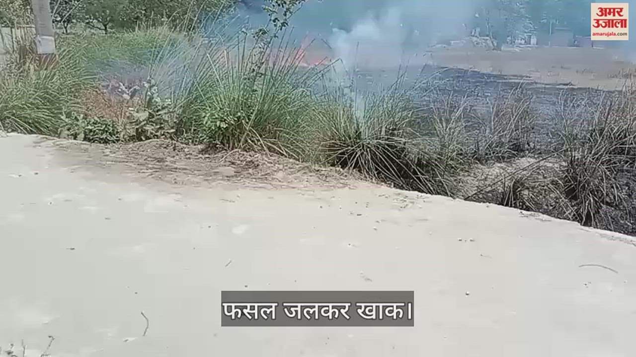 VIDEO : fire brigade not reach spot in Azamgarh crop burnt to ashes