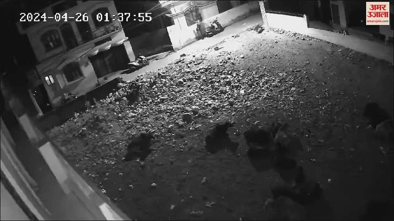 सीसीटीवी में कैद हुआ गुलदार