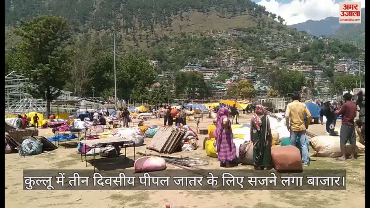 VIDEO : The market started getting decorated for the three-day Peepal Jatar in Kullu.
