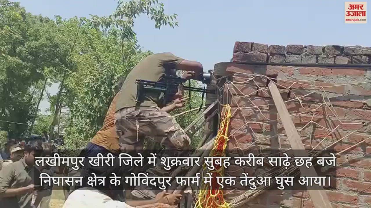 VIDEO : बेहोश करने के लिए लगा रहे थे निशाना, ट्रेंकुलाइजर गन को खींच ले गया तेंदुआ