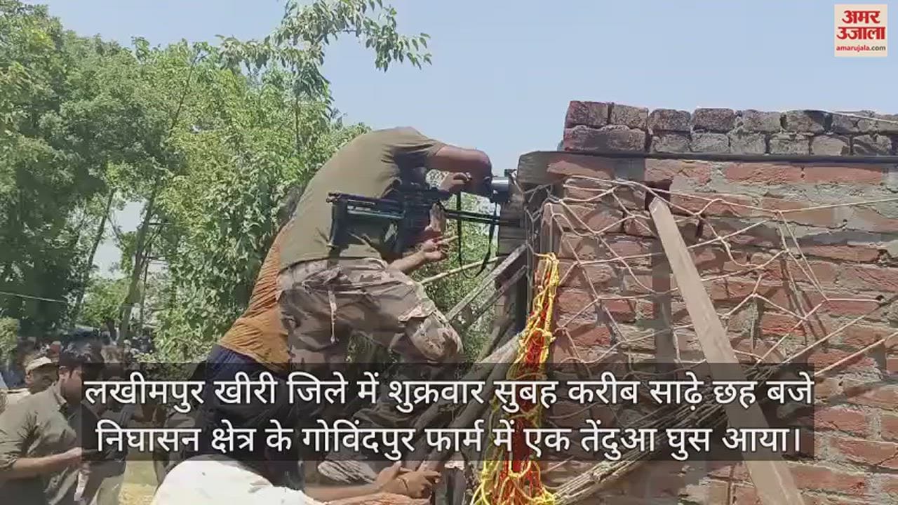 VIDEO : बेहोश करने के लिए लगा रहे थे निशाना, ट्रेंकुलाइजर गन को खींच ले गया तेंदुआ